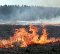 Бучацькі бійці служби порятунку врятували від вогню поле