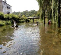 Як американка дбає про екологію на Бучаччині